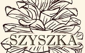 Szyszka